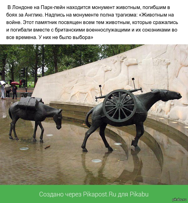 Памятник Животным Фото