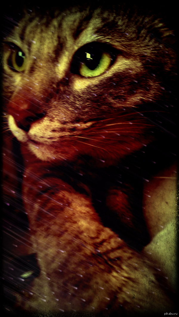 � ��������, ����������!