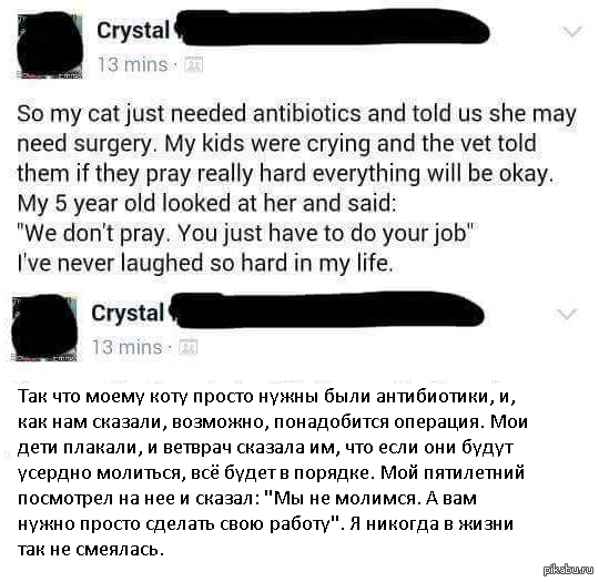 � ����������