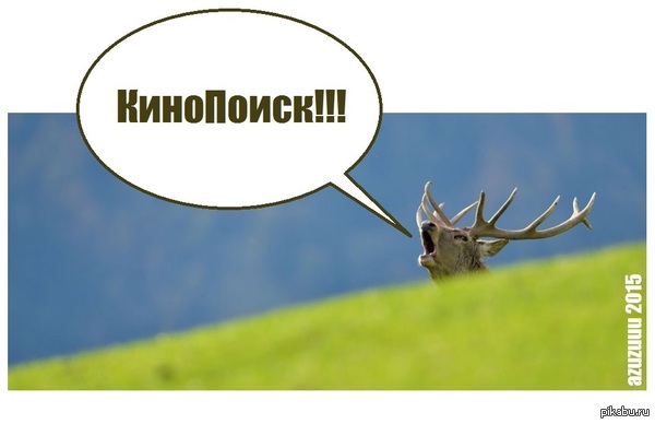 КиноПоиск был по сути очень унылым местом. Рецензии на фильмы...