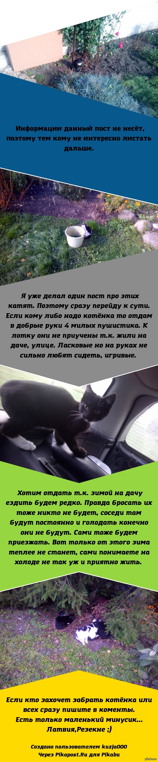 ������ �����������.