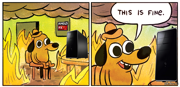  AMD     