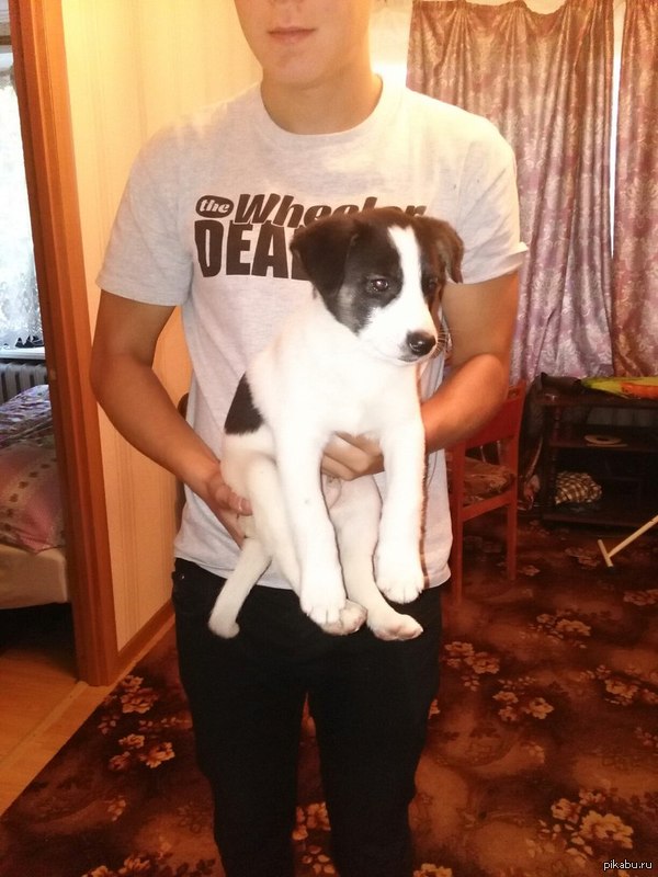 ����� ���� �������! (������) ���� � ���� ������!