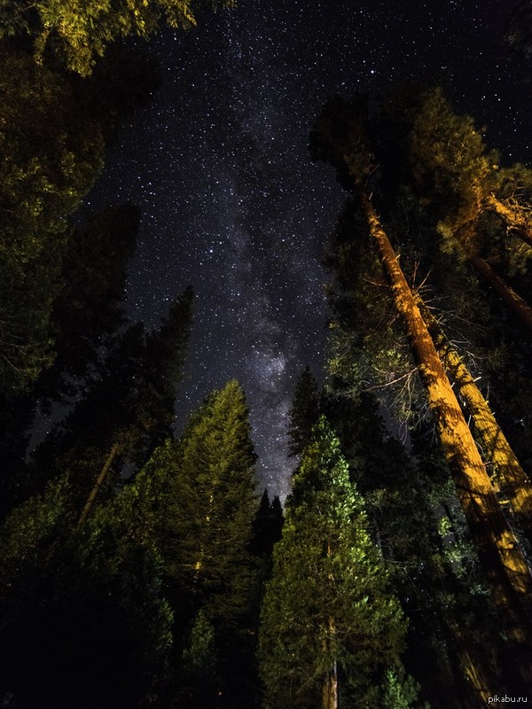 Национальный парк Станислаус (Stanislaus National Park)