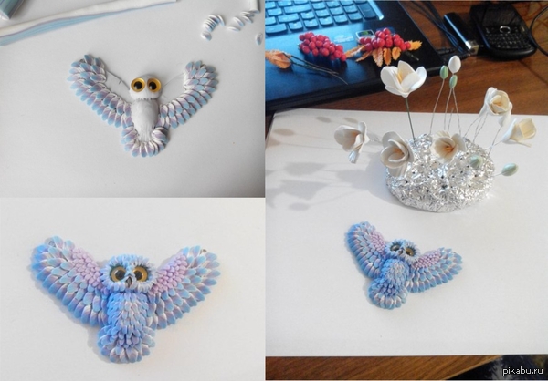 Немного о зимней сове. | Пикабу