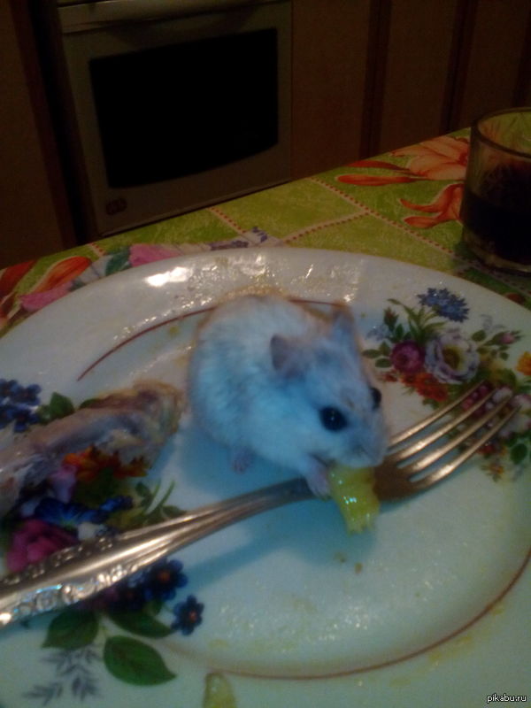 Некультурщина!!!