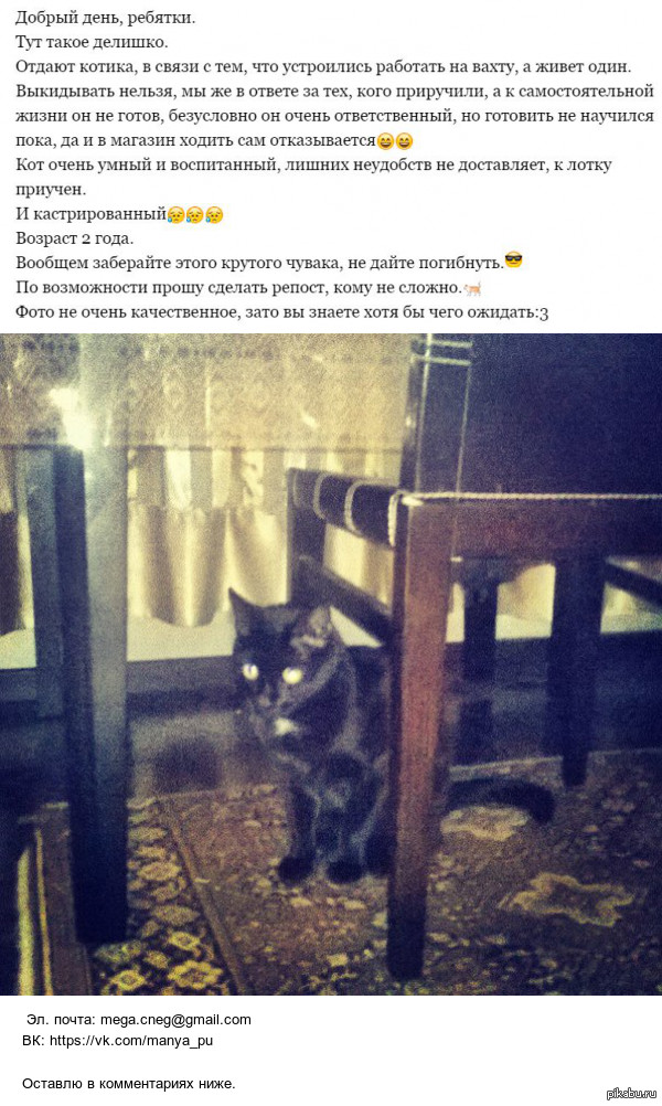 �� � ������ �� ���, ���� ���������.