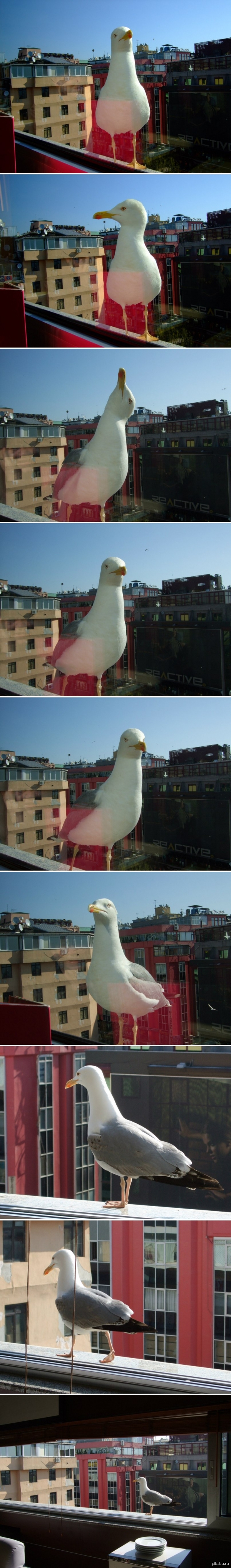 � ��� ���� �� �������? ����� � ��� � ���.