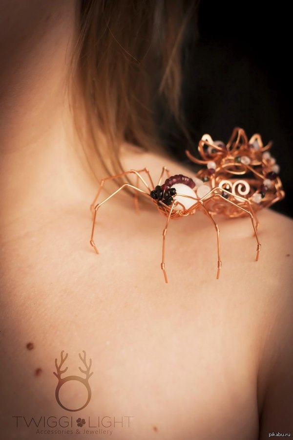 Медный паук