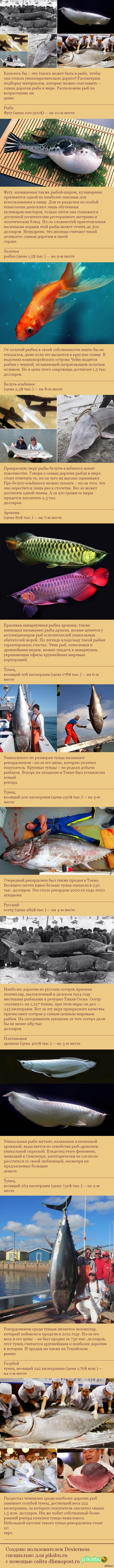 ����� ������� ���� � ����.