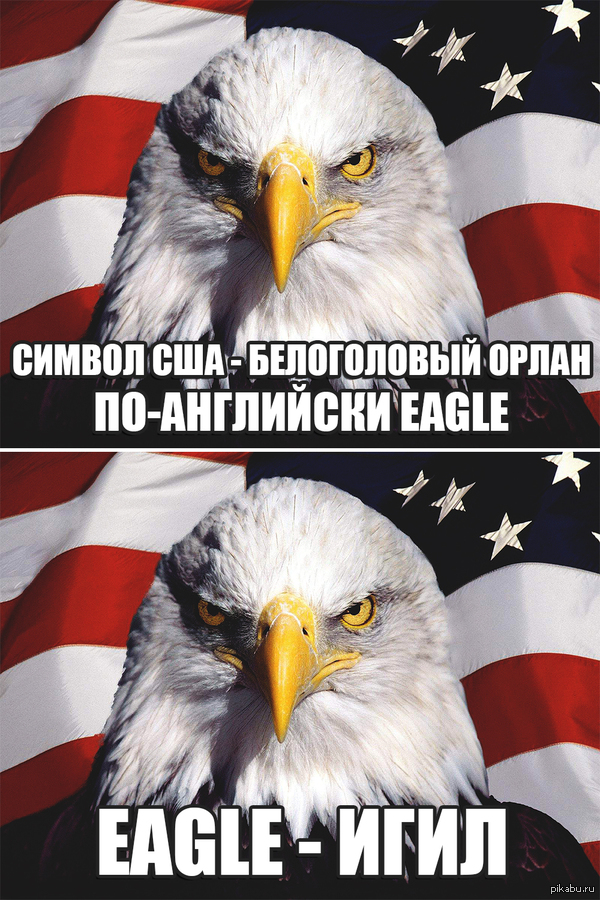 Совпадение? Не думаю