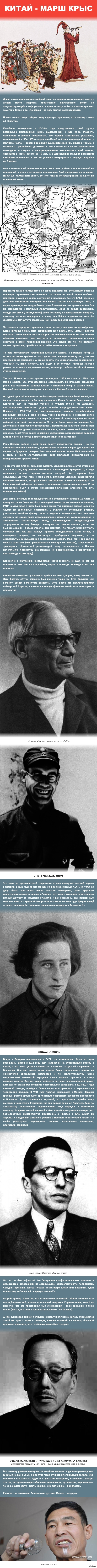 Китай - марш крыс