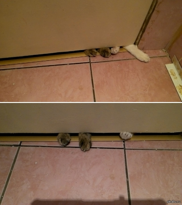 ����� ����� �������, ��� �� ��������� � �������