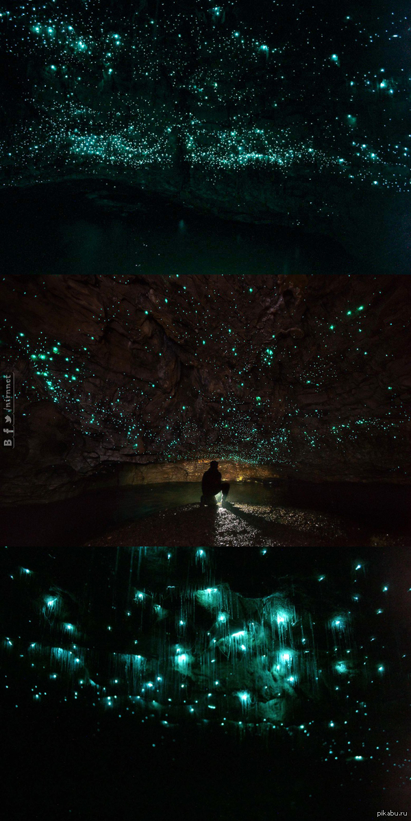 ��� �� ������ ������?