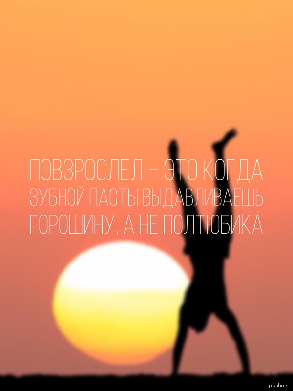 ������������ �������� ���������