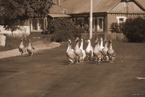 �������� ���������� ��� ������� �����������