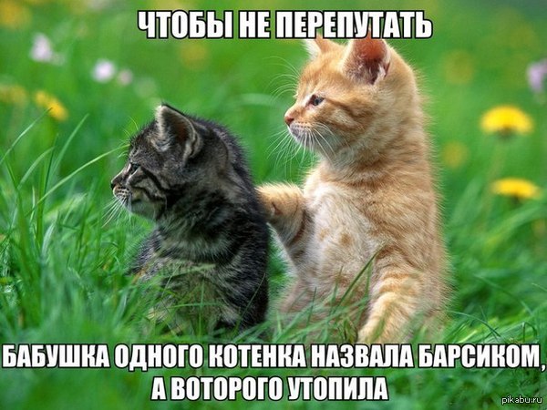 Чтобы не перепутать