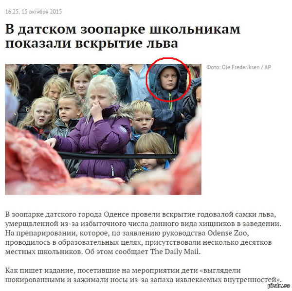 Эти глаза напротив