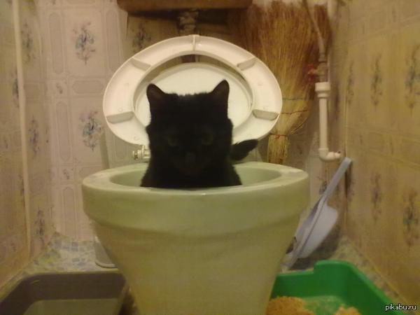 �������� ������