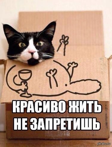 ������� �����