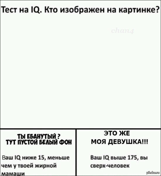 Tecт. | Пикабу