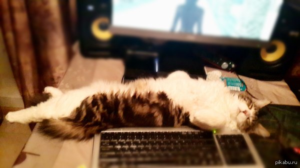 �������!