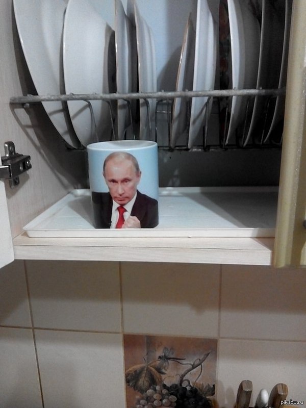 ���� ������� ����� ������