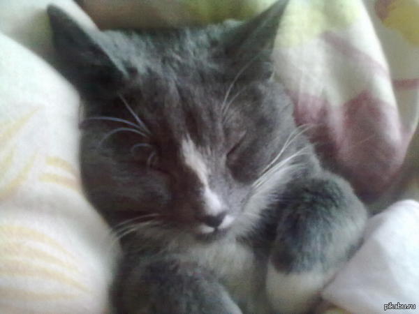 ����� ��*��� �� ������� ������� � �� ��������.