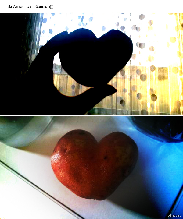 ��� ������� - �� �������))