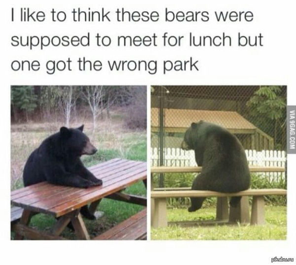 When you are waiting for a friend - The Bears, The park, 9GAG