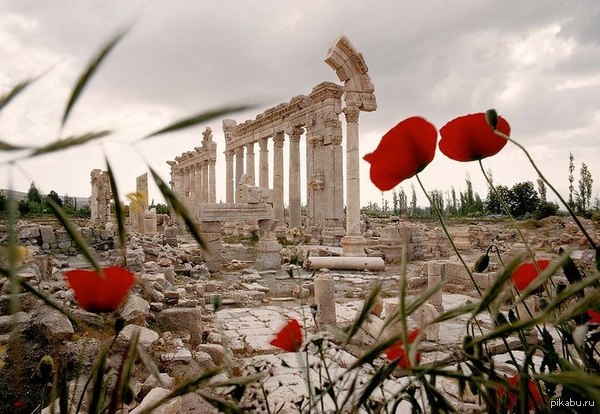 &quot;The ancient Roman ruins at Baalbek, Lebanon, February 1970&quot;