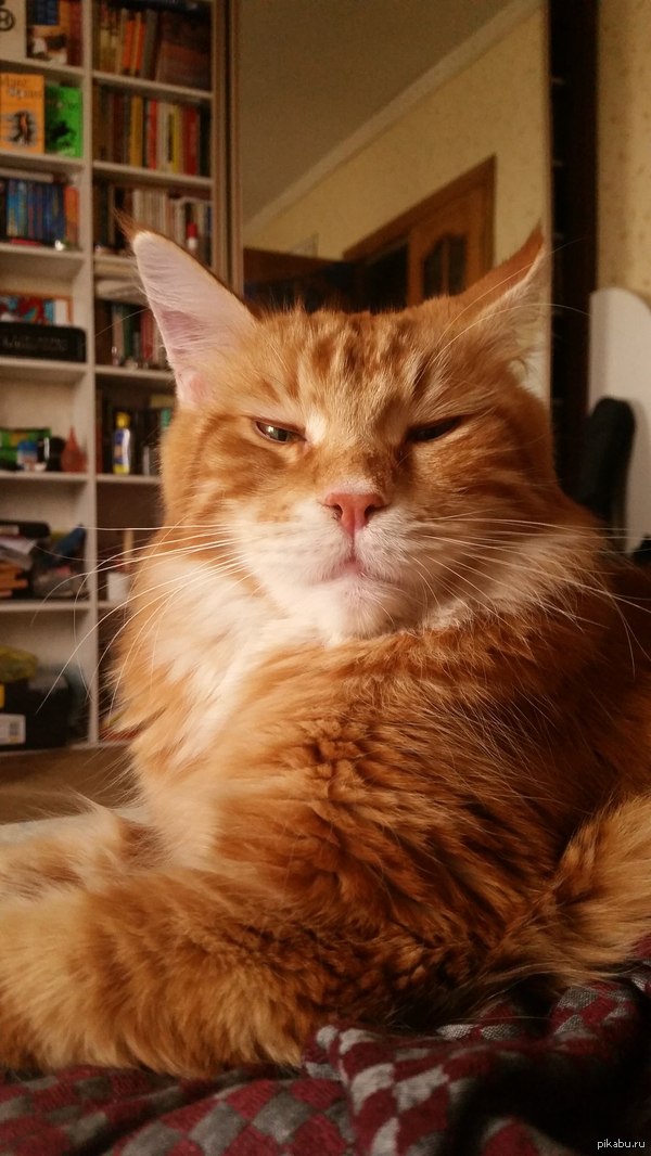 Осенней мейнкунины пост.