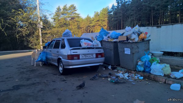 Забери мусор с собой картинки