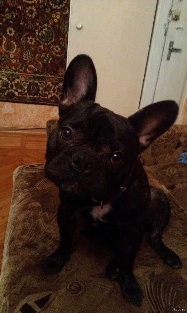 ��������������� ������