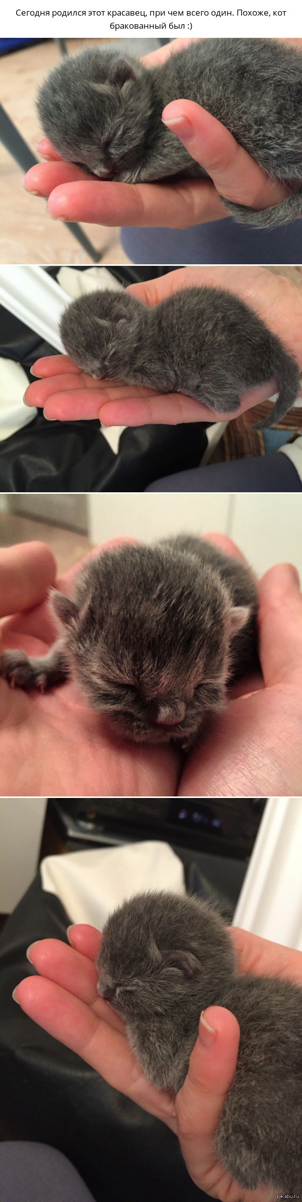 �������-�� ��� ���� ��������� �� ���� :)