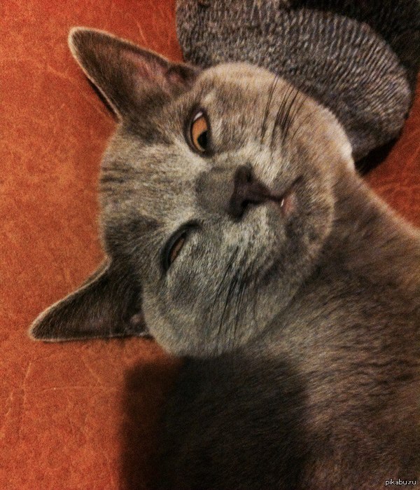 ���-�� ��� ������� ��� ������� �����