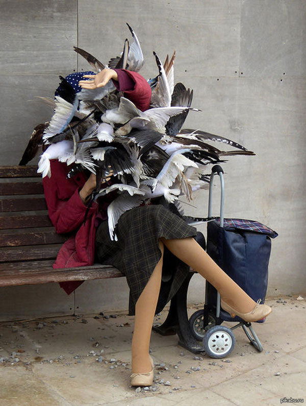 Нашествие птиц-людоедов