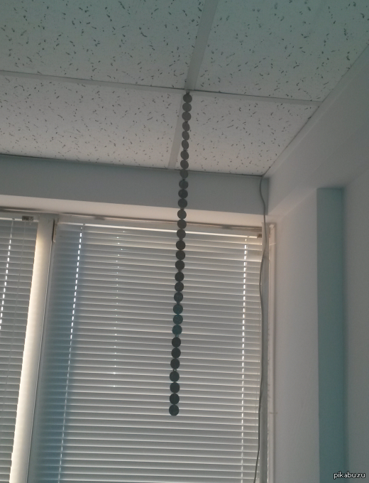 офисный барнакл