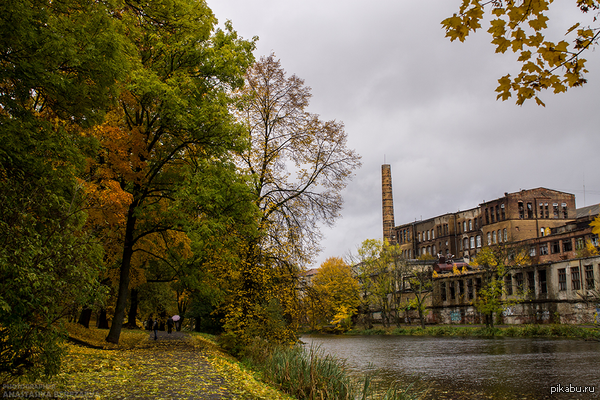 Краски осени