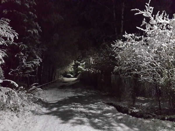 Вчерашний снегопад в Подмосковье