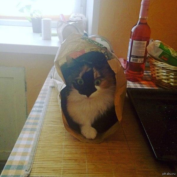 ��������� ������ � �����������