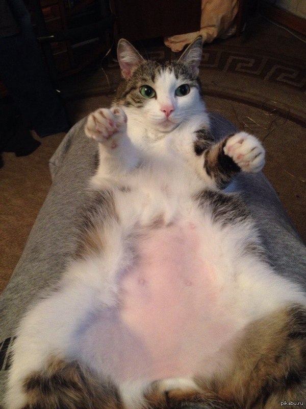       &quot;&quot;        .
