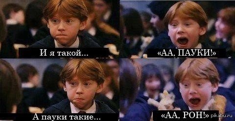 Типичный Рон :D