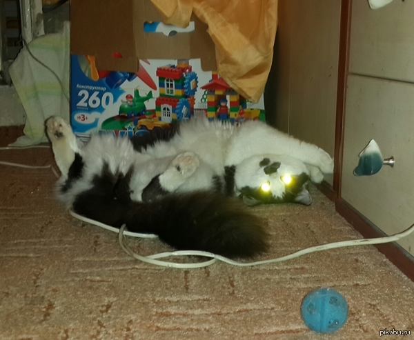 ��, ���, ����� �����!