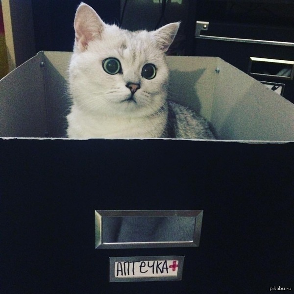 ��������� �� ���� ��������)