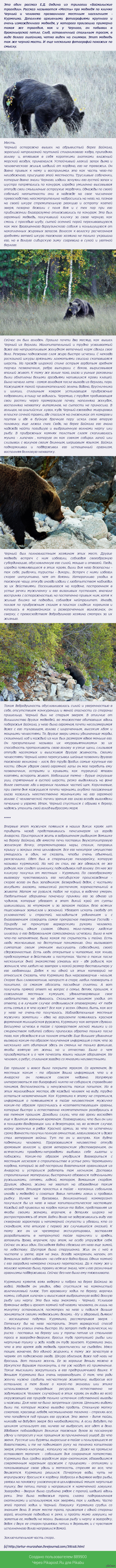 Медведи: истории из жизни, советы, новости, юмор и картинки — Все посты,  страница 8 | Пикабу