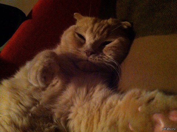 ��� ������ ���� ����� � �����