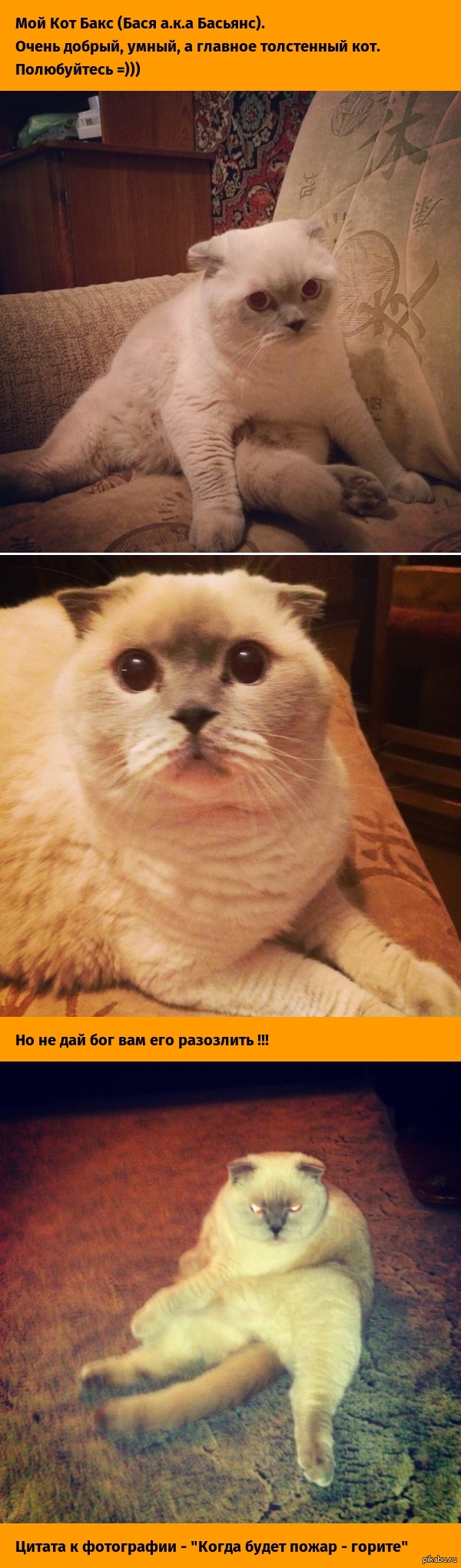 ������ �������� �.�.� ��� ��� ����