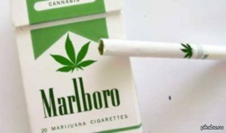 сигареты с марихуаной philip morris