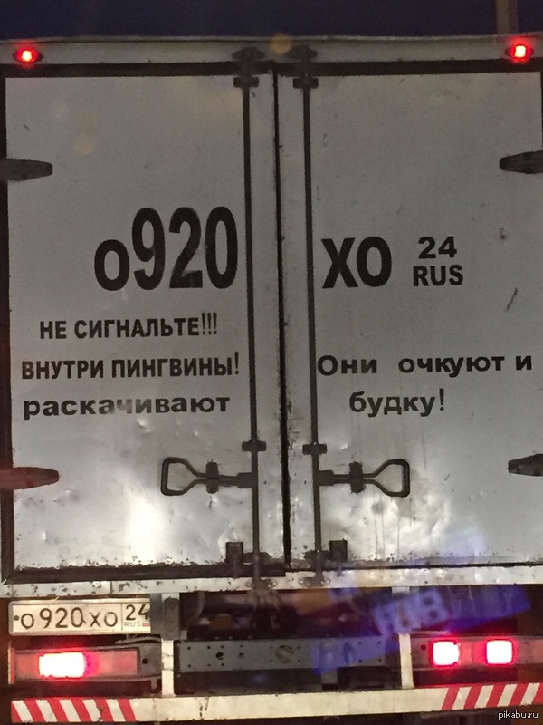 Пингвины! Они очкуют...